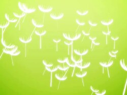 Flying Dandelions Stock Footage