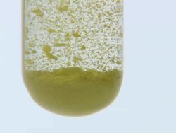 Lead (II) iodide precipitate, formed as potassium iodide is dripped into lead (II) nitrate solution Stock Footage