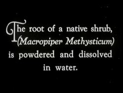 1920s B/W MONTAGE Samoan wedding, seated woman prepares traditional Ava drink by squeezing shrub root in bowl of water / Men fling root overhead Samoa South Seas
 Stock Footage