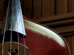 Contrabass Stock Footage