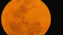 An orange moon glows in a black sky. Stock Footage