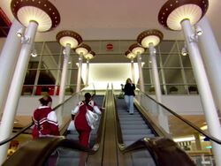 MS Two pom pom girls rising in escalator at supermarket / Minneapolis, Minnesota, United States Stock Footage