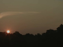 sunset at amazon with forest silhouette background Stock Footage