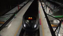 Rio De Janeiro's Olympic Legacy Questioned News Clip