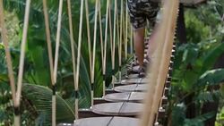 Walking on rope bridge Stock Footage
