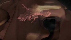 An anatomical model of a Tyrannosaurus Rex highlights its tiny brain: a Tyrannosaurus Rex fights with a Triceratops in a computer-generated animation. Stock Footage