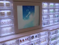 ATMOSPHERE at Swarovski Celebrates The Launch Of Its Collaboration With Yoko Ono At The Swarovski Crystallized Concept Store in New York, NY, on 09/05/12 Stock Footage
