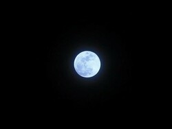 Full moon on a clear night Stock Footage