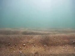 Ocean Floor Stock Footage