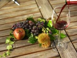 Winetasting Stock Footage