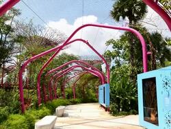 A Walk Through Singapore's Gardens By The Bay Stock Footage