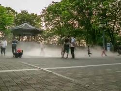 Namsan Tower Park Stock Footage