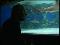 Scientists get new insight into life of the Great White News Clip