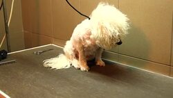 Beauty treatman Stock Footage