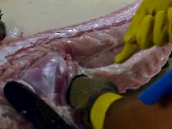Market For Alligator Meat Booms In Florida Stock Footage