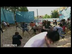 Tomato festival News Clip