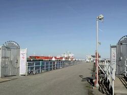 Spring Point Marina Stock Footage