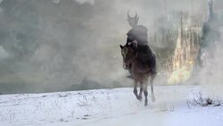 fantasy horserider in slowmotion Stock Footage