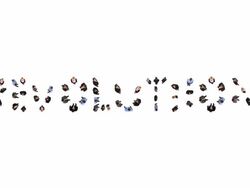 HD: Revolution Stock Footage