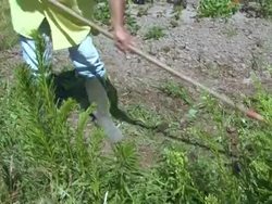 VOICED: Back to the land: French lessons in organic farming News Clip