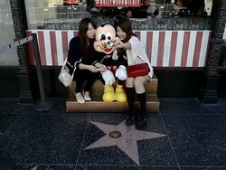 Scenes From Hollywood Boulevard, California Stock Footage