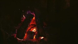 A trapper stokes a fire. Stock Footage