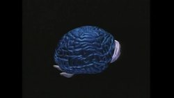 Henry Markram: A brain in a supercomputer Instructional Video