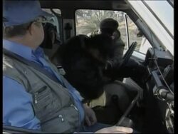 WRAP two mwn breach security at UN compound News Clip