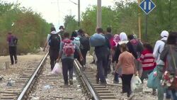 CLEAN : Migrants keep pressure on Greece Macedonia border News Clip
