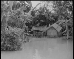 EAST PAKISTAN DISASTER News Clip