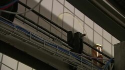 A jar of frankfurters moves along a conveyor belt. Stock Footage