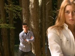 CRANE: Love Hurts Stock Footage