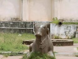  MS ZO View of Nandi statue in courtyard of Thanjavur Palace / Thanjavur, Tamil Nadu, India Stock Footage