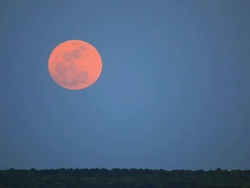 Moonrise Stock Footage