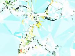 series transcendental fields : from almond blossoms, bright (TRANSITION) Stock Footage