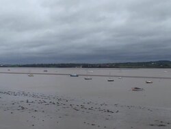 Low Tide Stock Footage