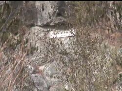 David Lavau's children drove slowly along the curved mountain road, stopping to peer over the treacherous drop-offs and call out for their father. Close to a week after his car plunged 200 feet into a ravine, Lavau, 68, was rescued alive. News Clip