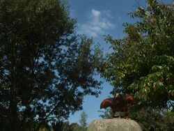 High speed Golden eagle (Aquila chrysaetos) taking off Stock Footage