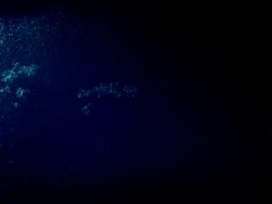 Timelapse frost forms, dark blue background Stock Footage