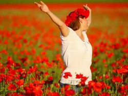 happy young woman on a poppy field Stock Footage