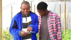 Video portrait  African Organic Farmers with New technology Stock Footage