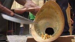 World's largest bamboo building News Clip