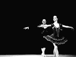 Art of Ballet Stock Footage