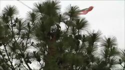 Opposition rally showing support for judiciary in case against PM News Clip