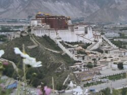 WS R/F Shot of Potal Palace / Lhasa, Tibet, China Stock Footage