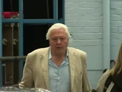 SIGHTED: Sir David Attenborough Stock Footage