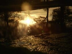 Swamp Thing Stock Footage