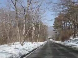 HD: Drive down at Fuji Mountain forest Stock Footage