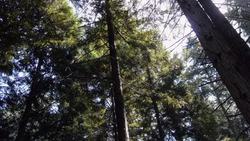 A new twist on the traditional treasure hunt Instructional Video