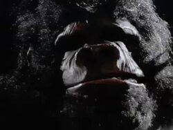 Medium shot zoom in to close up of gorilla pounding chest / zoom out Stock Footage